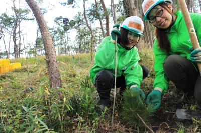 【復興支援】津波被害にあった海岸林の整備・植林ボランティア