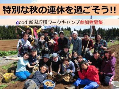 秋の新潟収穫ワークキャンプ参加者募集！