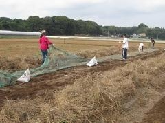 10月7日(土)日帰り援農ボランティア募集！