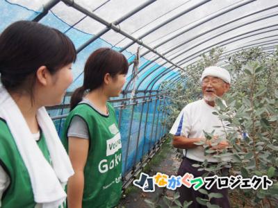 大学生ボランティア　福島県いわき市行き　9/30～10/2参加者募集！