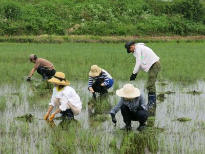 農業支援活動の現地常駐スタッフ募集