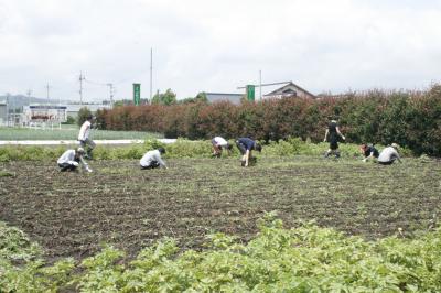 ８月３０日(土)日帰り農園ボランティア募集！