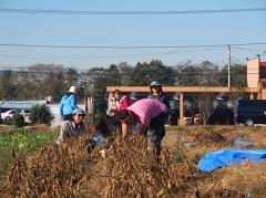2月6日(土)日帰り援農ボランティア募集！