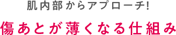 肌内部からアプローチ!傷あとが薄くなる仕組み