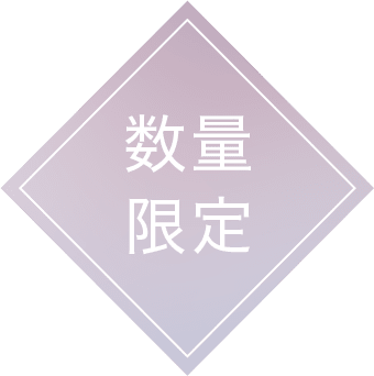 数量限定