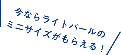 今ならライトパールのミニサイズがもらえる!