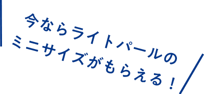 今ならライトパールのミニサイズがもらえる！