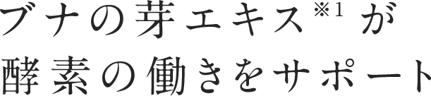 ブナの芽エキス※1が酵素の働きをサポート