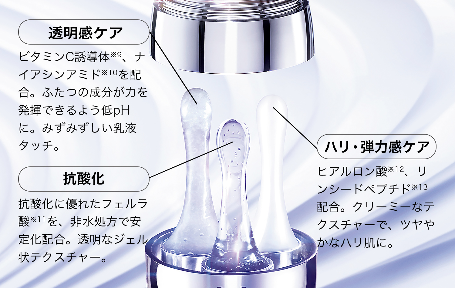 透明感ケア　ハリ・弾力感ケア　抗酸化