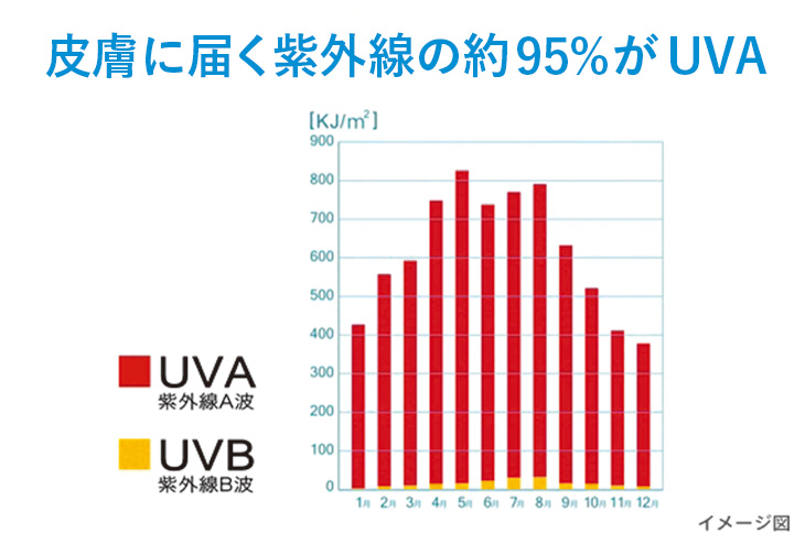 皮膚に届く紫外線の約95%がUVA
