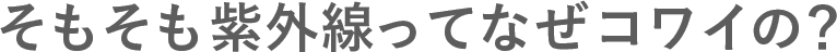 そもそも紫外線ってなぜコワイの？