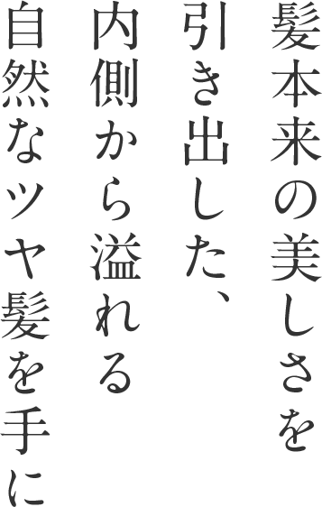 髪本来の美しさを引き出した、内側から溢れる自然なツヤ髪を手に