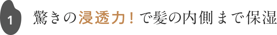 1 驚きの浸透力！ で髪の内側まで保湿