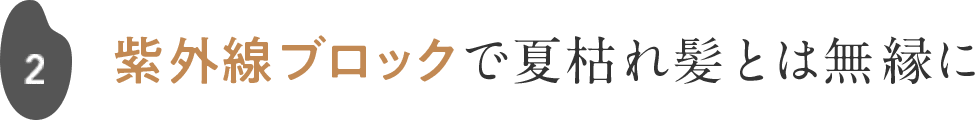 2 紫外線ブロックで夏枯れ髪とは無縁に
