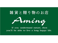 株式会社アミング