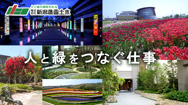 にいがた就職応援団ナビ22 新潟県の就活情報サイト 株式会社新潟造園土木 企業データ