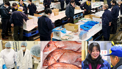 日本海の海の幸を世界へ！若手とベテランが挑戦する、社内ベンチャーの取組みを紹介！