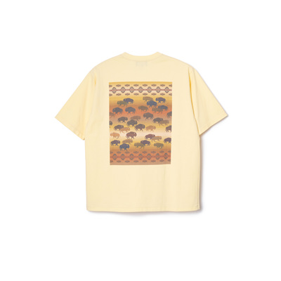 10020 Yellow