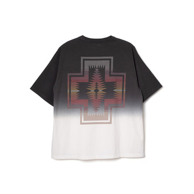 10091 Charcoal