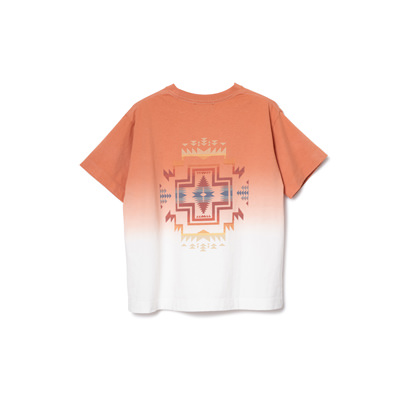 10092 Coral