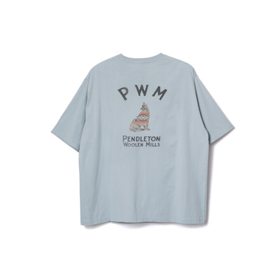 10061 Slate Blue
