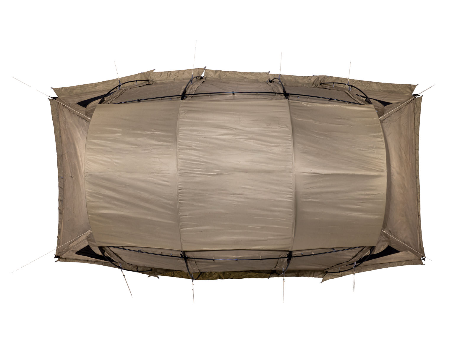 サバティカル　アルニカ　シートセット付 サバティカル アルニカ シートセット付 - メルカリ