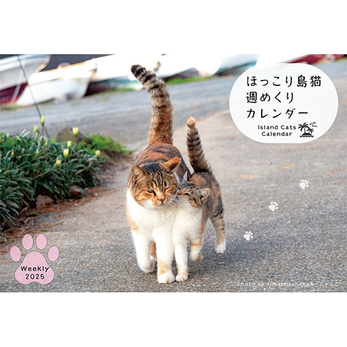 2025 日本貓島桌曆
