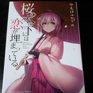 日本代購merariメルカリ代購同人誌同人社團同人グループ角砂糖カクザトウ