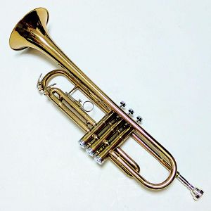 日本代購merariメルカリ代購管樂器かんがっき小號