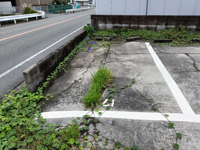 伊丹市南野、ラスタホール向かい、金城文化の月極駐車場15.16.17番の駐車場写真