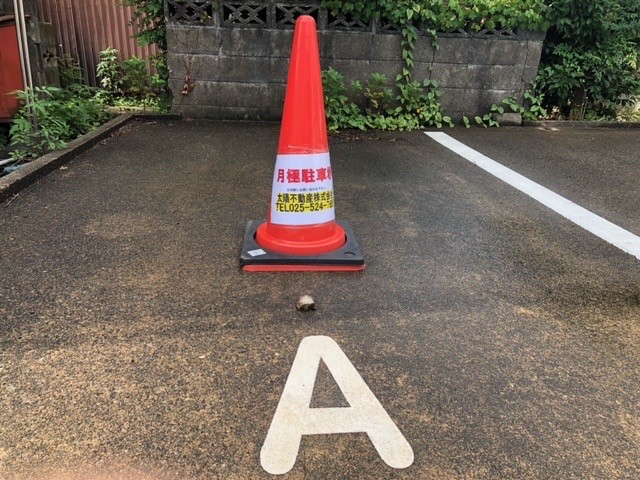 新潟県上越市仲町の駐車場写真
