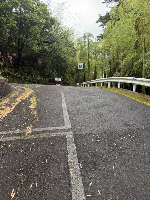 嵯峨野弁治駐車場の駐車場写真