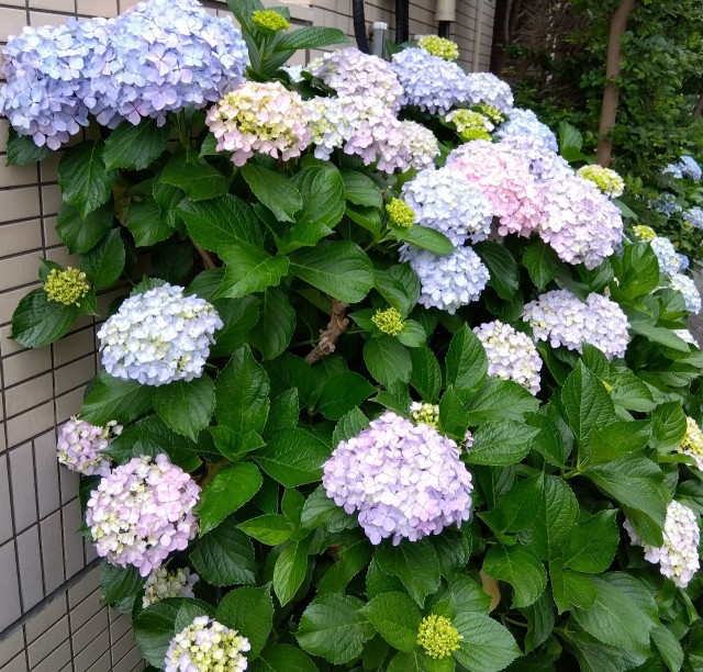 小杉陣屋町1丁目駐車場【入出庫可能時間：10時～21時】※注意事項必読※の駐車場写真