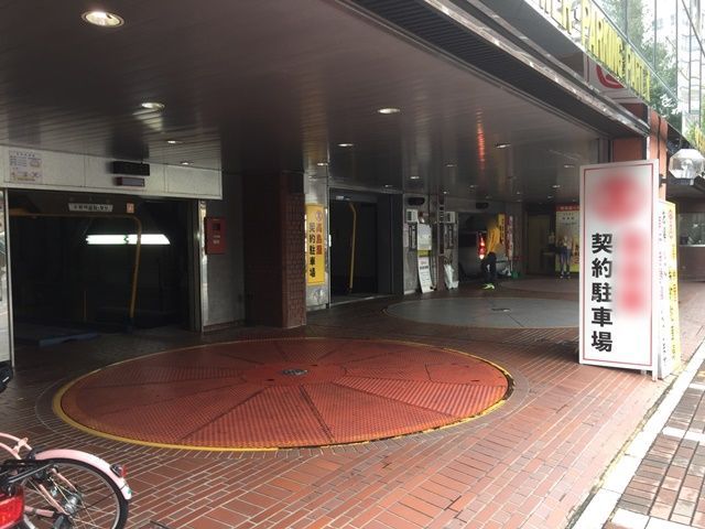全体写真