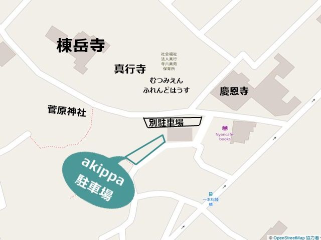 駐車場周辺地図