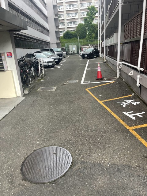 東新宿駐車場の駐車場写真