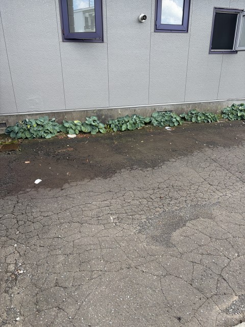常盤6条2丁目122-10駐車場の駐車場写真