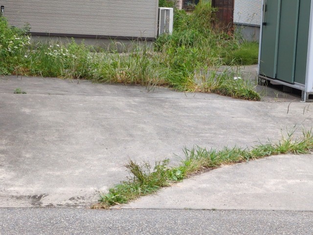 新潟県胎内市住吉町１１ー５ー３の駐車場写真