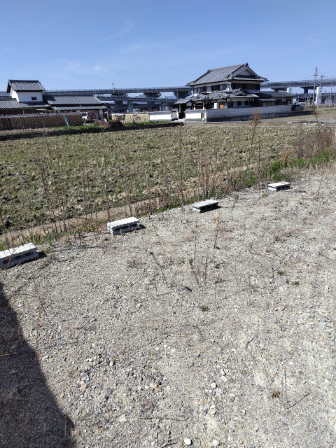 53-1空き地駐車場の駐車場写真