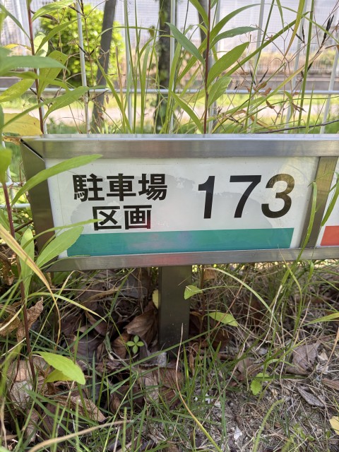 駐車場写真2