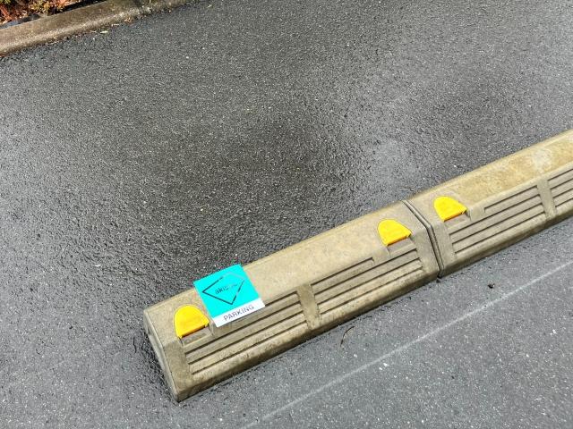 東大阪玉串団地駐車場(1号棟付近)の駐車場写真