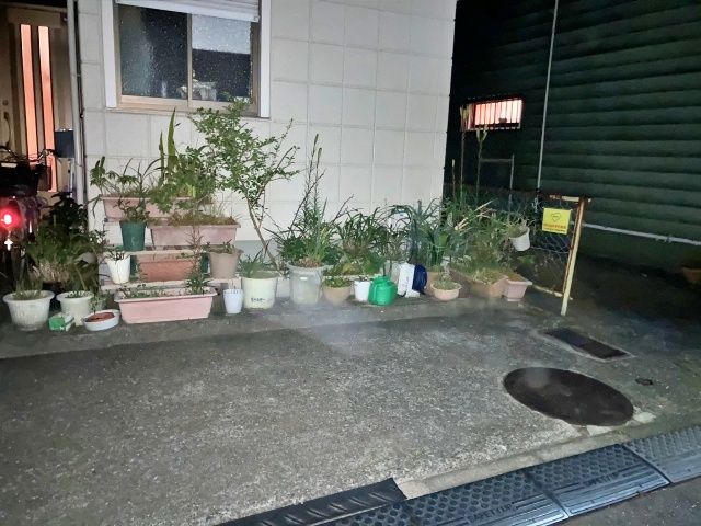 駐車場詳細写真