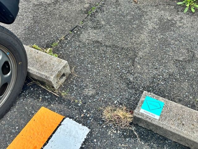 桃山台2丁 団地駐車場(5号棟付近)の駐車場写真