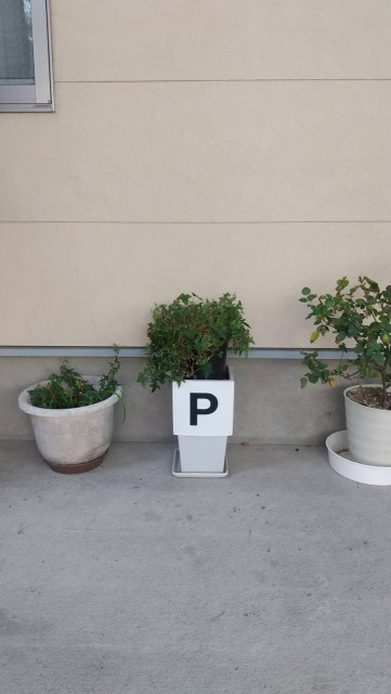 本町通1番町駐車場の駐車場写真