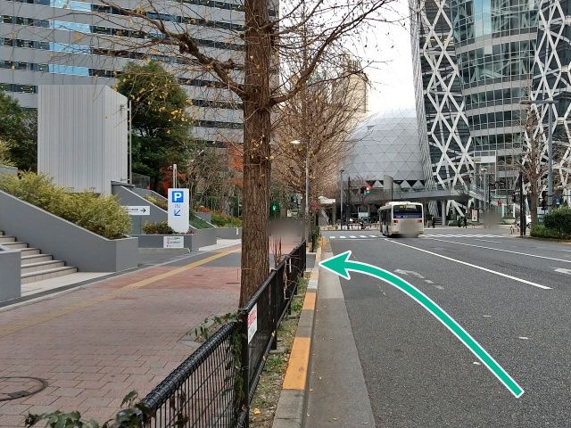 全体写真