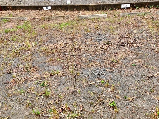 駐車スペース後方の番号をご確認ください
