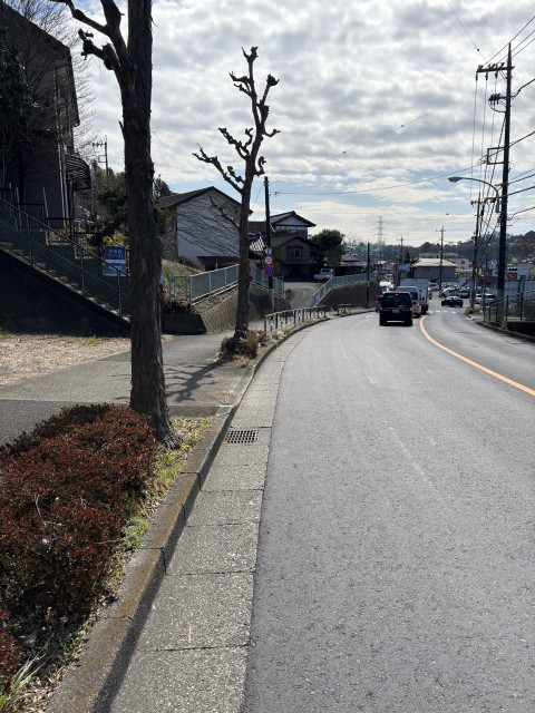大蔵町1533-3駐車場 空き地の駐車場写真