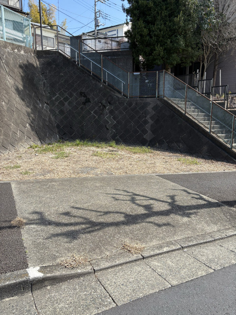 大蔵町1533-3駐車場 空き地の駐車場写真