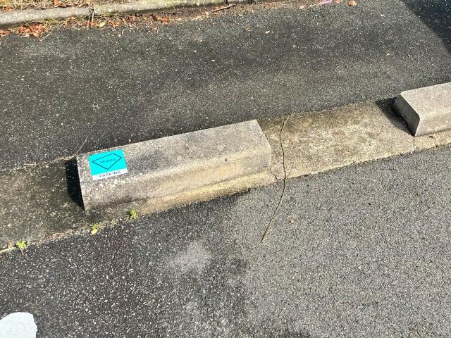 富田林板持団地駐車場(10号棟付近)の駐車場写真