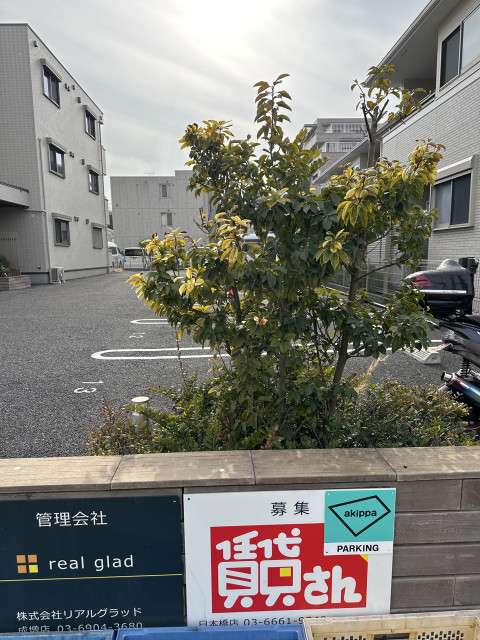 白子3丁目25-60駐車場の駐車場写真